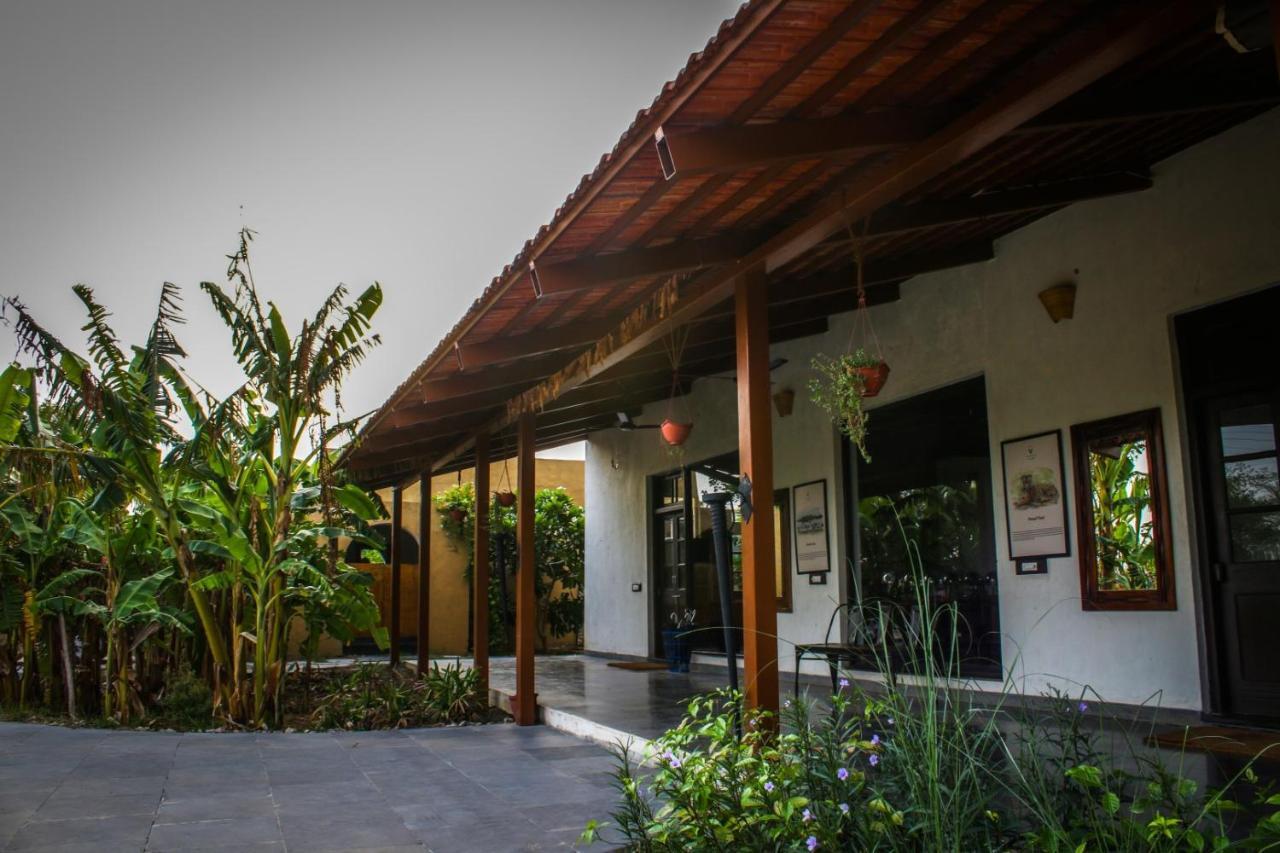 Beyond Stay Mahua Tola Tadoba Kolara ภายนอก รูปภาพ
